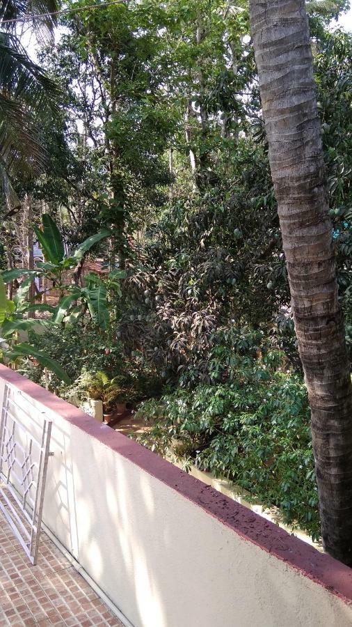 Palolem Apartments Extérieur photo